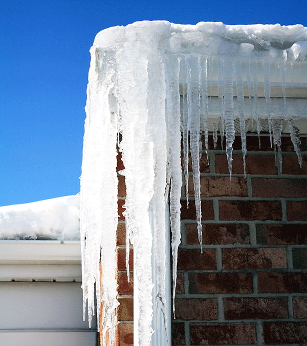 Icicles by Sue Hughes Unsplash