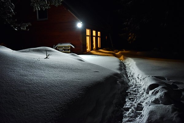 winter night scene